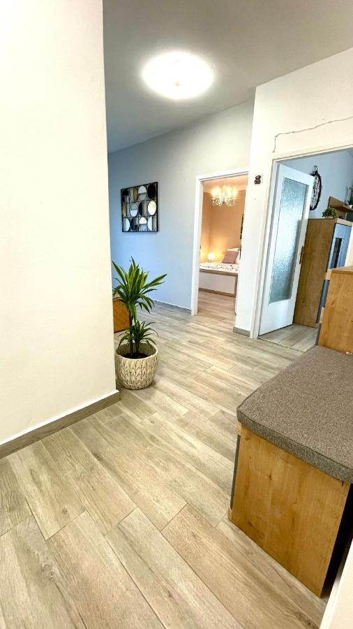 Apartment For 6 + Free Parking Place Задар Экстерьер фото